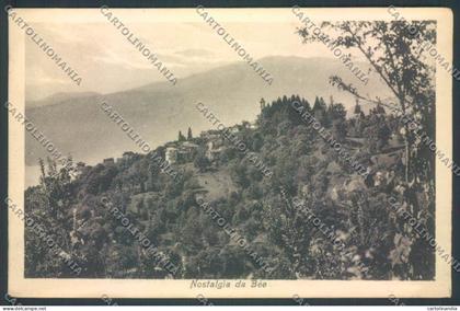 Verbania Bee cartolina ZQ6100