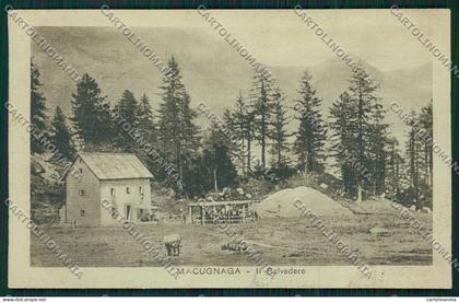 Verbania Macugnaga cartolina QQ5447