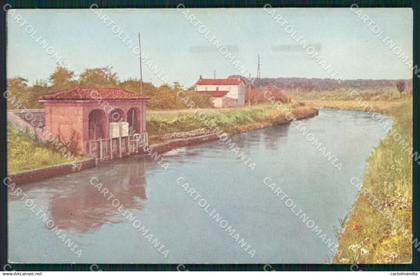 Vercelli Greggio cartolina QZ2325