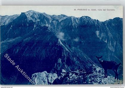 51796049 - Vicenza