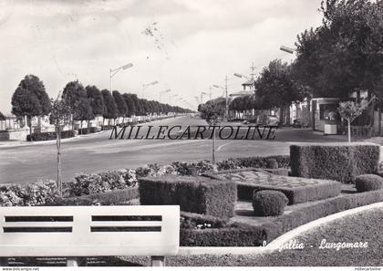 SENIGALLIA: Lungomare    1961
