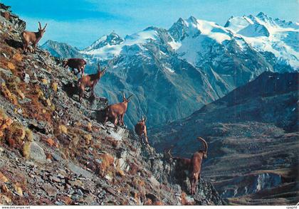 CPM Vallee D Aosta