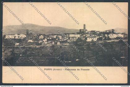 Arezzo Poppi cartolina ZG0943