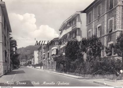 ASCOLI PICENO:  Viale Marcello Federici