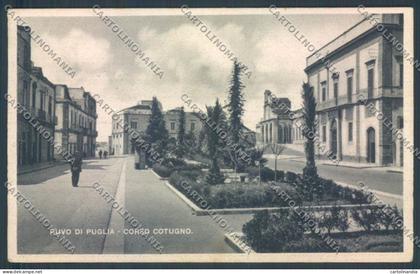 Bari Ruvo di Puglia cartolina ZB6019