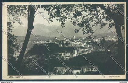 Belluno Città cartolina LQ8794