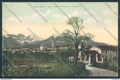 Belluno Città cartolina LQ8882