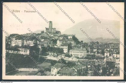 Belluno Feltre cartolina LQ9289