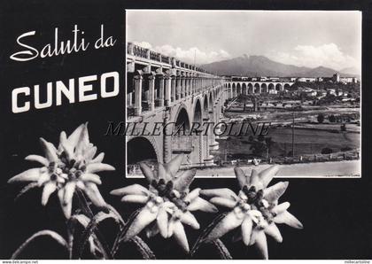 CUNEO: Saluti da    1959