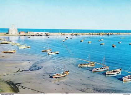 Cartolina - Manfredonia ( Foggia ) - Porto - 1964