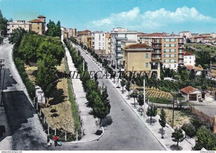 MACERATA: Viale Carradori   1960