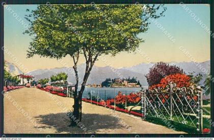 Novara Arona ? cartolina KV4605