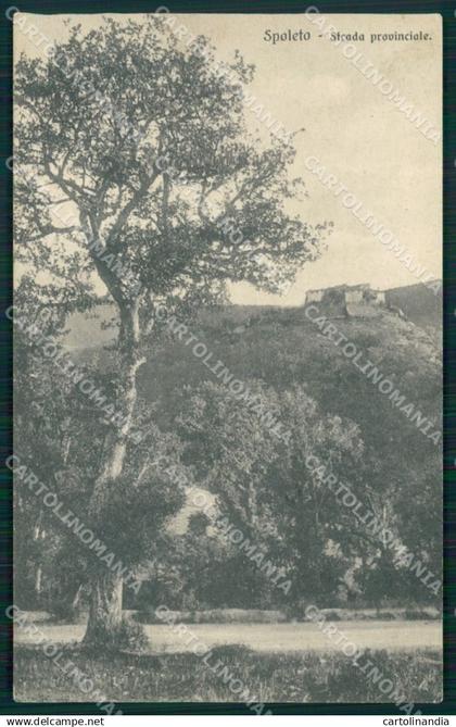 Perugia Spoleto cartolina MT2374