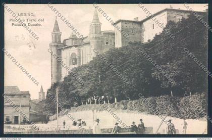 Pesaro Urbino cartolina MV8128