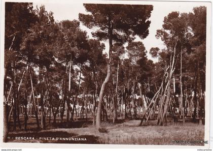 # PESCARA: PINETA D'ANNUNZIANA