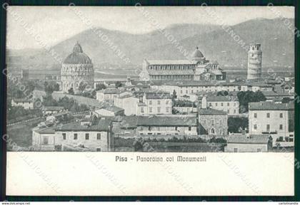 Pisa Città Panorama con Monumenti Alterocca cartolina MX4172