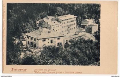 Boscolungo - Abetone - Panorama delle Piramidi (Veduta della Pensione Bellini e Succursale Orsatti) - Non viaggiata