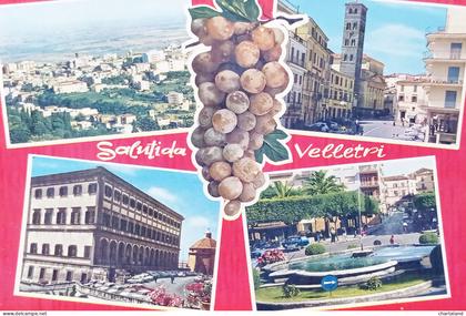 Cartolina - Saluti da Velletri ( Roma ) - Vedute diverse - 1965 ca.