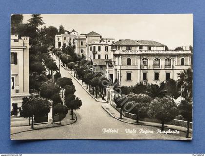 Cartolina Velletri - Viale Regina Margherita - 1955