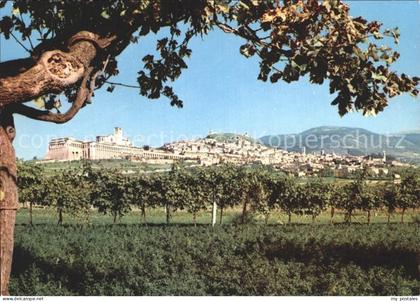 Assisi Umbria Gesamtansicht