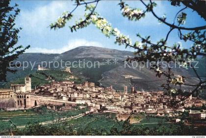 Assisi Umbria Panorama