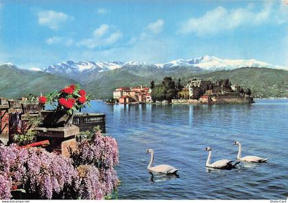 ITALIE ISOLA BELLA LAC MAJEUR LAC MAJEUR LANGENESE