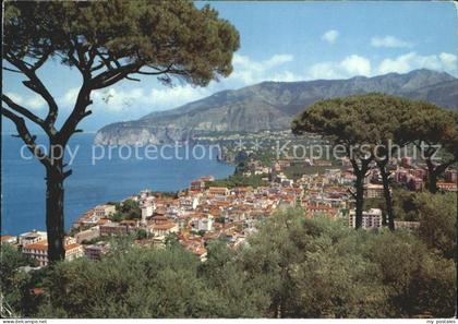 Sorrento Campania Pinienhuegel