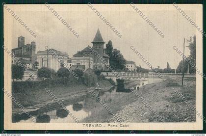 Treviso città cartolina QK2279