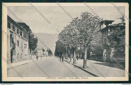 Treviso Vittorio Veneto cartolina QK2594