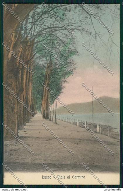 Varese Luino cartolina QK1883