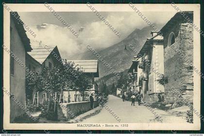 Verbania Macugnaga cartolina QQ5480