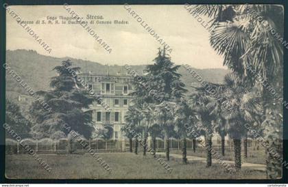 Verbania Stresa cartolina ZQ5504