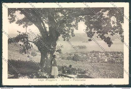 Verbania Stresa cartolina ZQ5645