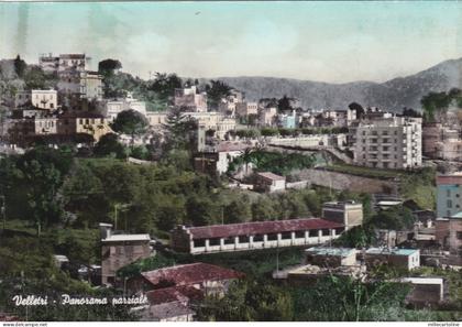 # VELLETRI: PANORAMA PARZIALE