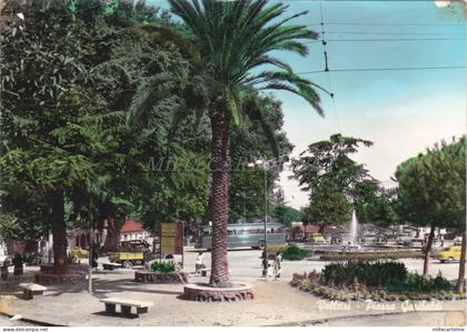 VELLETRI - Piazza Garibaldi, Cartolina