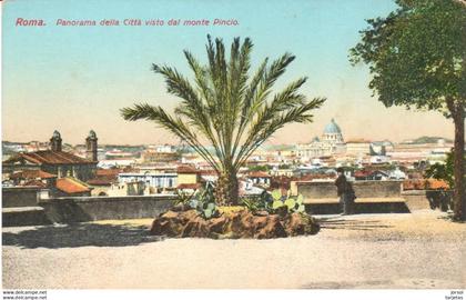 POSTAL   ROMA  -ITALIA  -PÀNORAMA DELLA CITTÀ VISTO DAL MONTE PINCIO