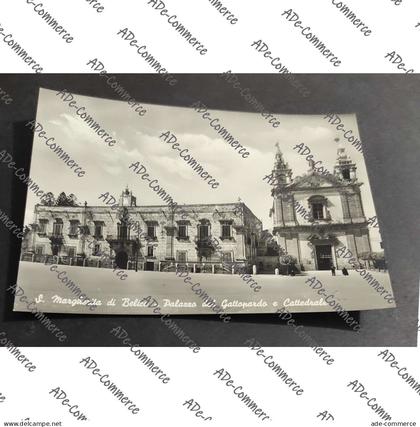 Cartolina S. Margherita di Belice - Palazzo del Gattopardo e Cattedrale