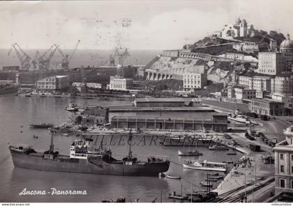 ANCONA: Panorama    1964