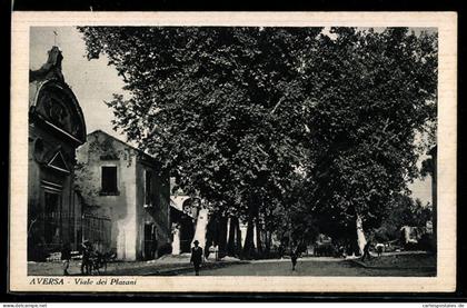 Cartolina Aversa, Viale dei Platani
