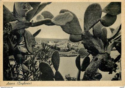 CPM Aspra (Bagheria) La Nature S'Entoure