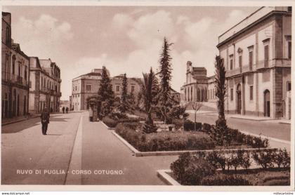 #RUVO DI PUGLIA: CORSO COTUGNO
