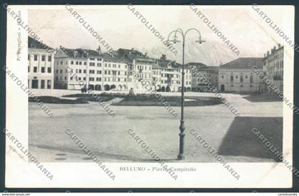 Belluno Città cartolina LQ8852