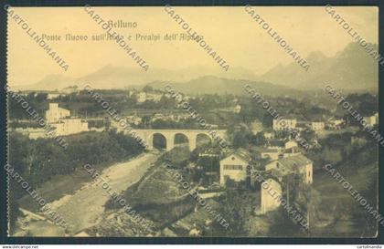 Belluno Città cartolina LQ8891