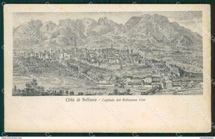 Belluno Città cartolina ZKM8665