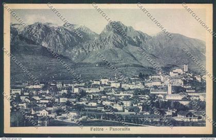 Belluno Feltre cartolina LQ9250