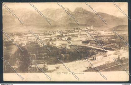 Belluno Feltre cartolina LQ9261