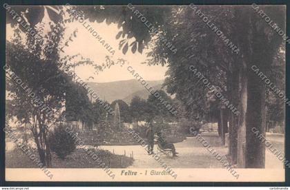 Belluno Feltre cartolina LQ9285