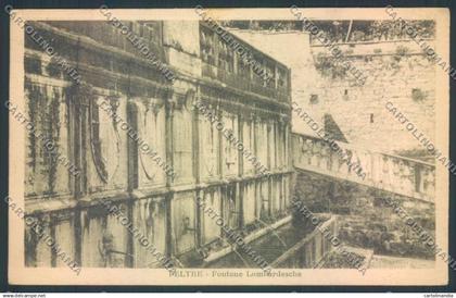 Belluno Feltre cartolina LQ9288