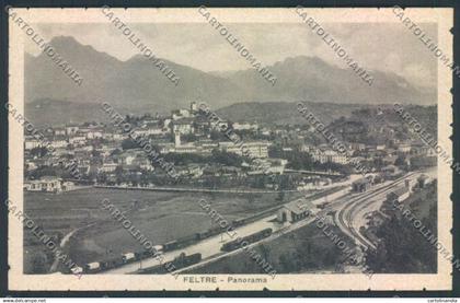 Belluno Feltre cartolina LQ9297