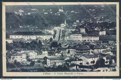 Belluno Feltre cartolina LQ9306